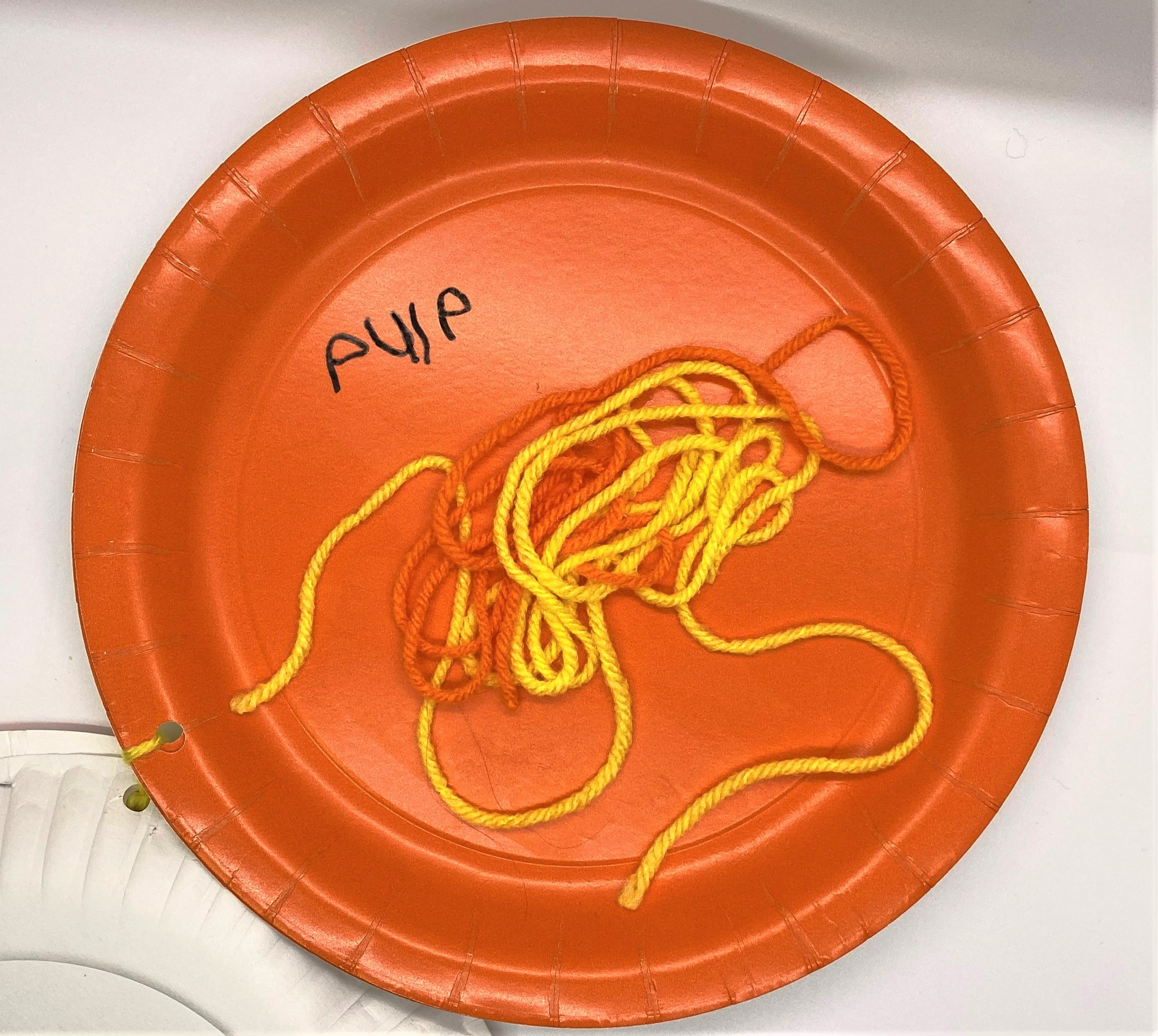 What's Inside My Pumpkin?