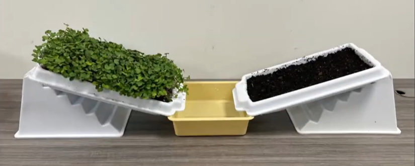 Roots to the Rescue!