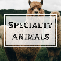 Specialty Animals Reader