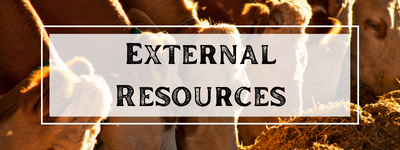 External Resources