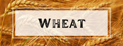 Wheat Lessons