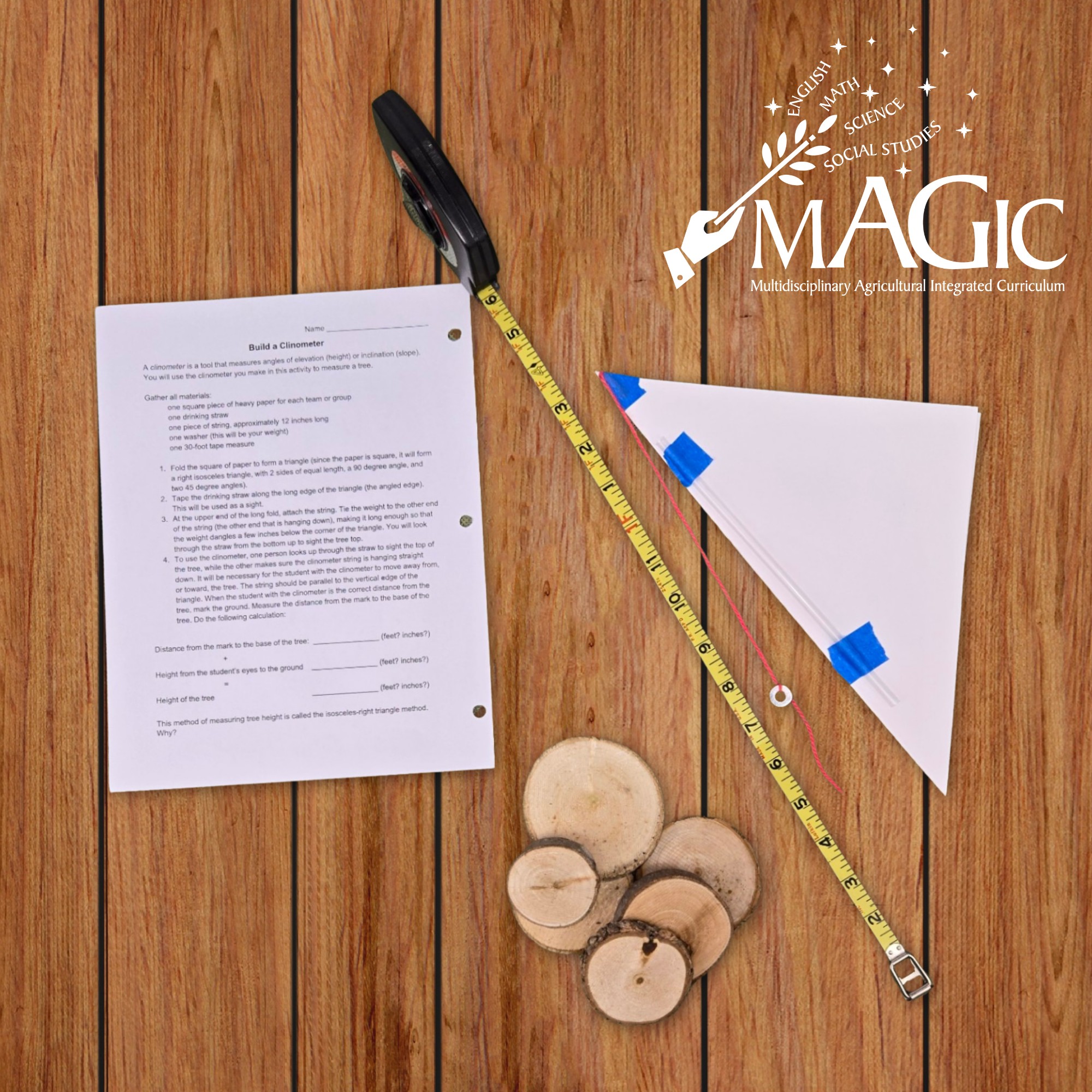 Trees are for Treasuring...and Measuring