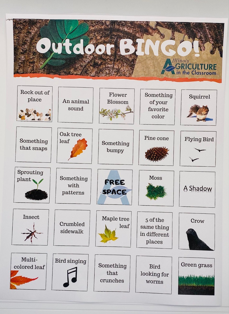 Outdoor BINGO