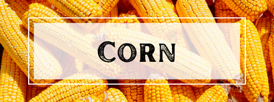 Corn Lessons