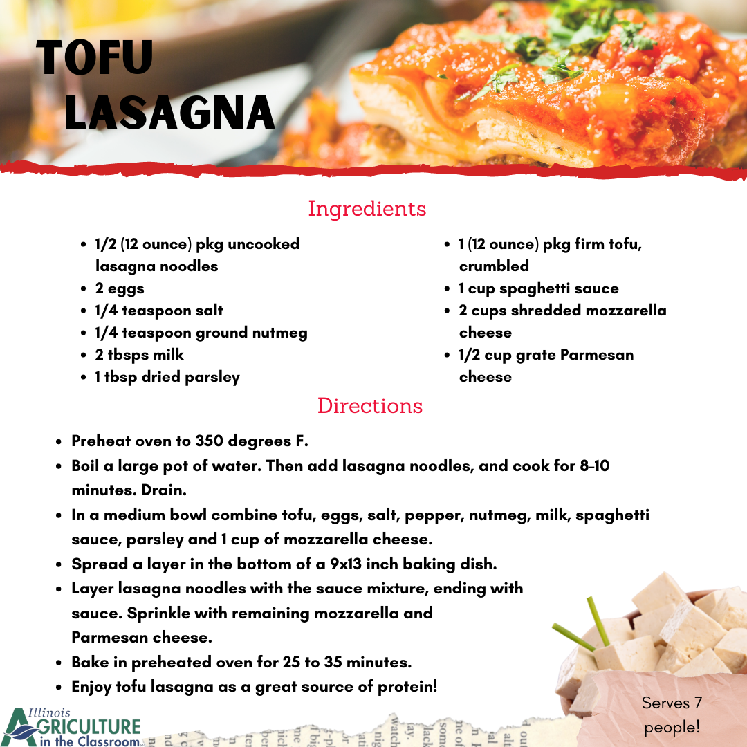 Tofu Lasagna