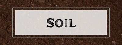 Soil Lessons