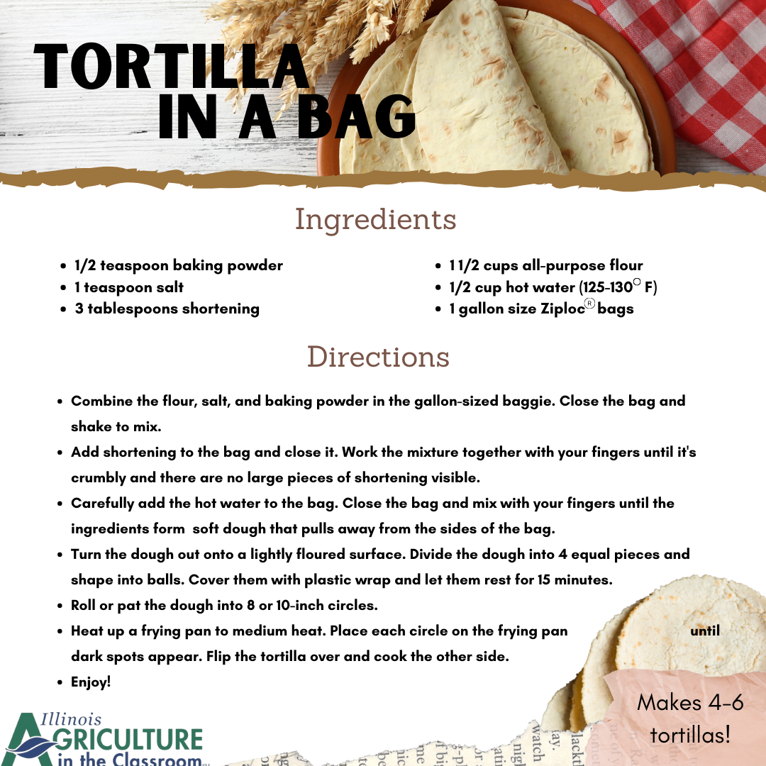 Tortilla in a Bag