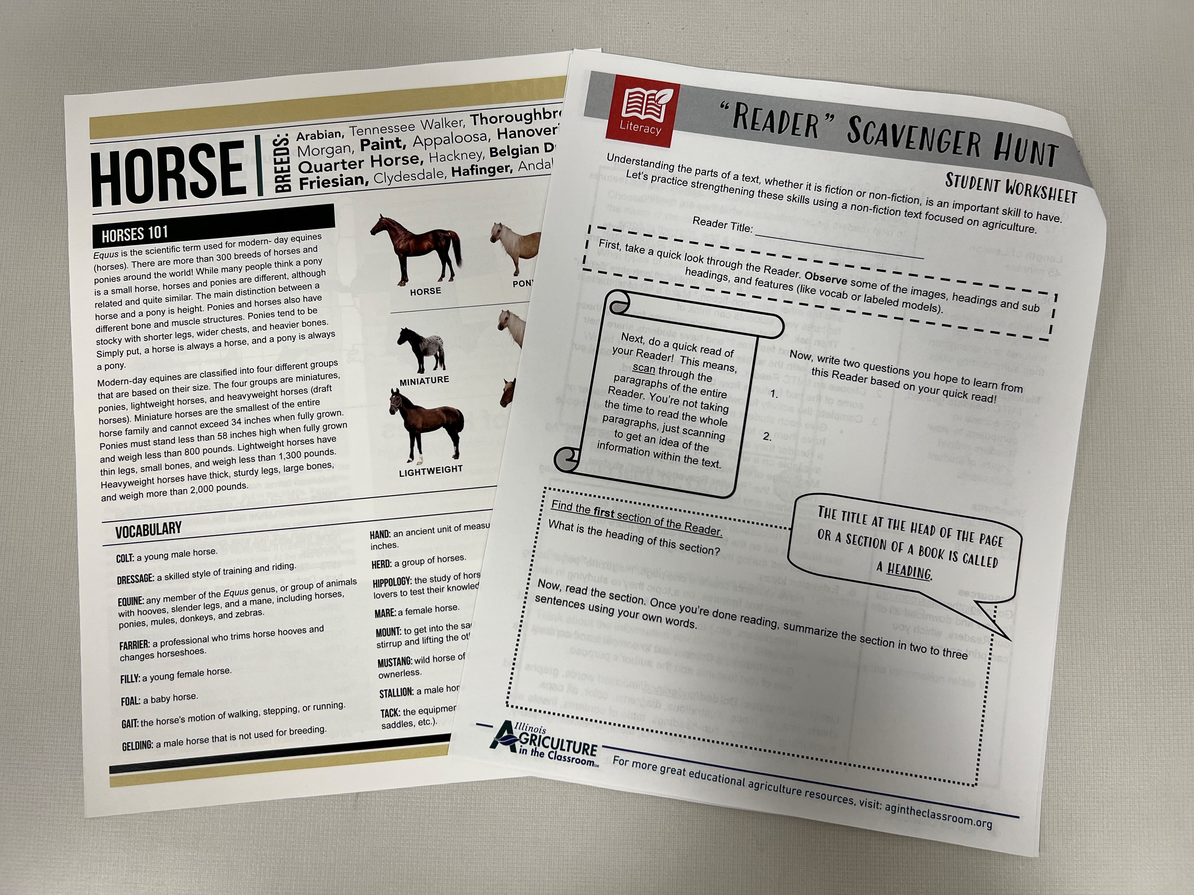 Reader Scavenger Hunt