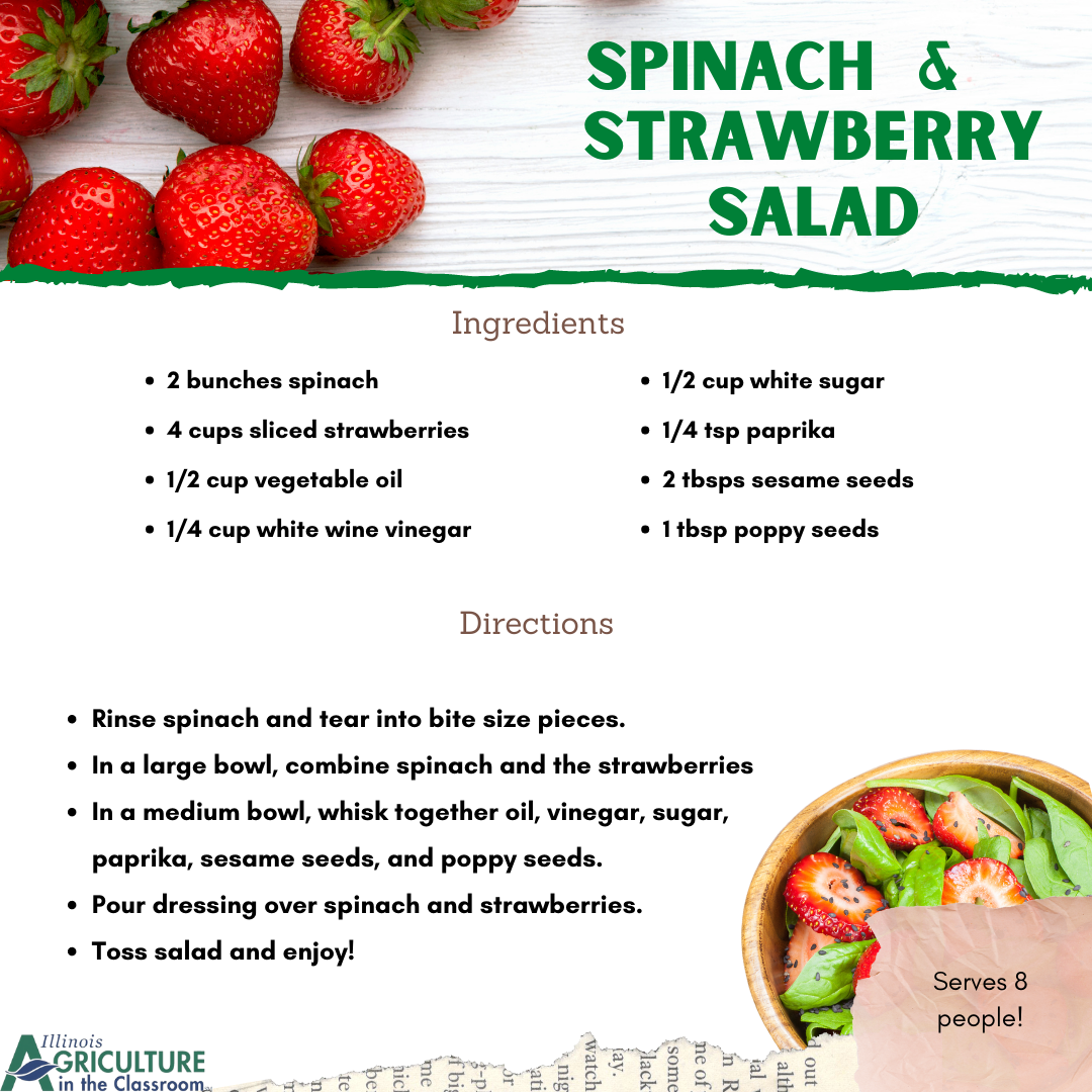Spinach Strawberry Salad