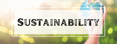 Sustainability Lessons
