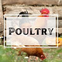 Poultry Ag Mag