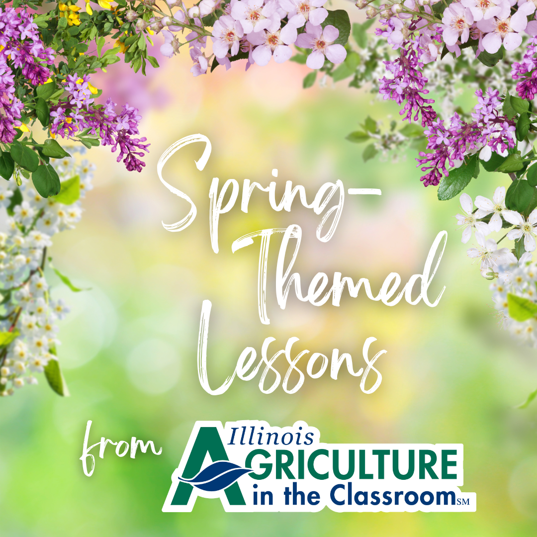 Spring-Themed Lessons from IAITC