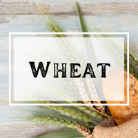 Wheat Ag Mag