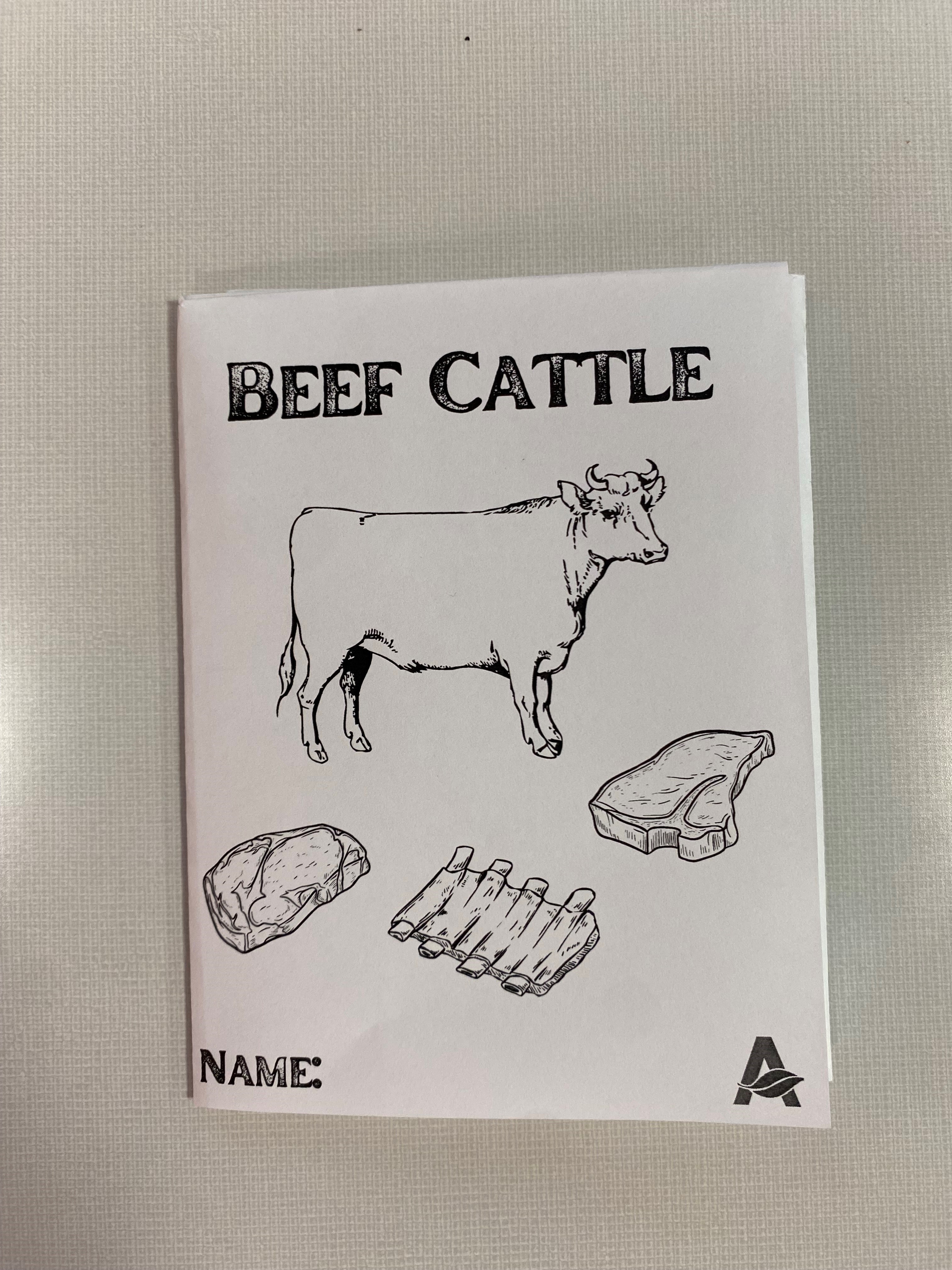 Beef Cattle "Zine"