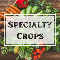 Specialty Crops