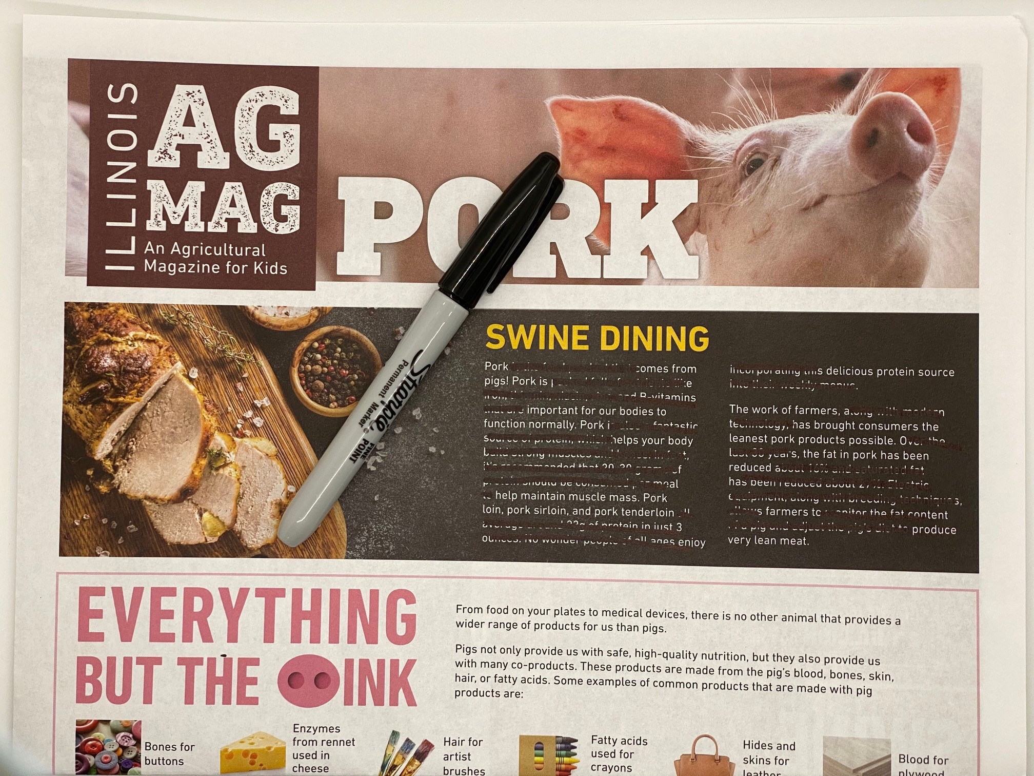 Bacon Blackout Poetry