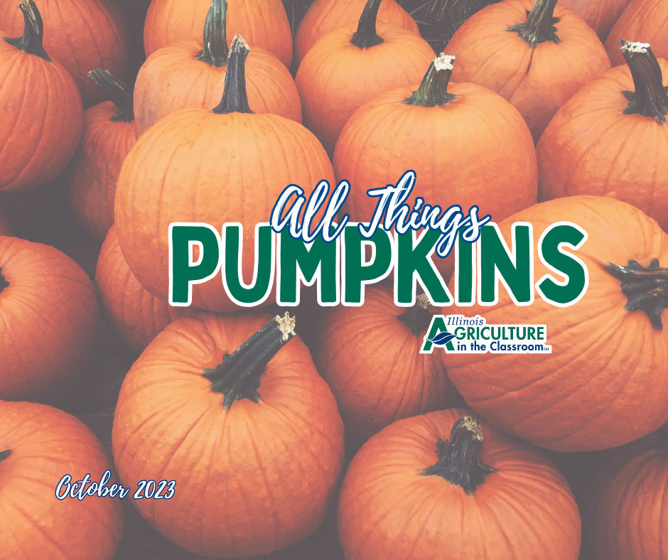 All Things Pumpkins