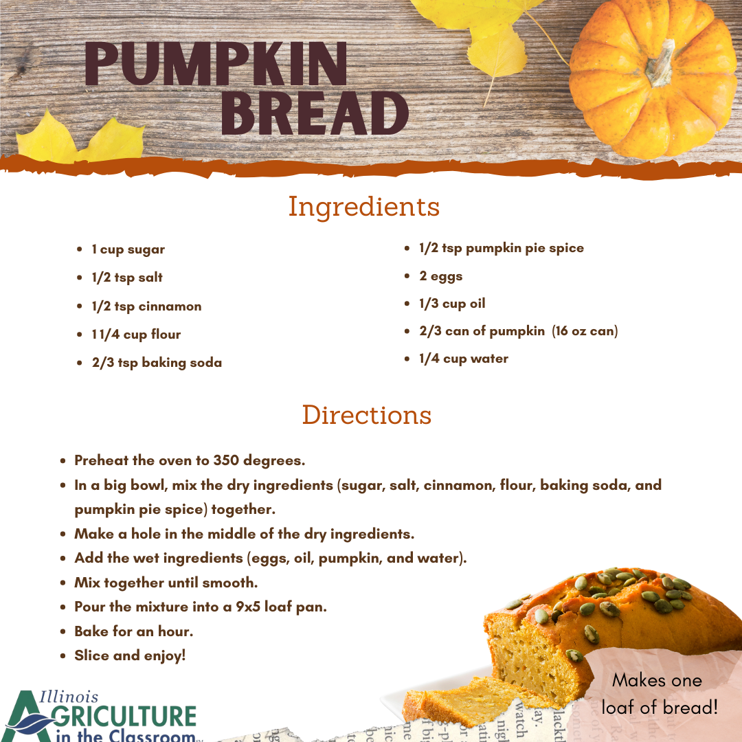 Pumpkin Bread
