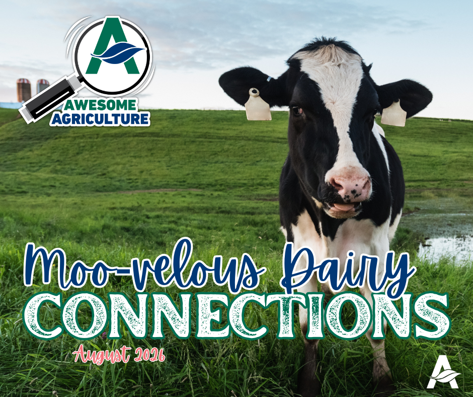 Moo-velous Dairy Connections