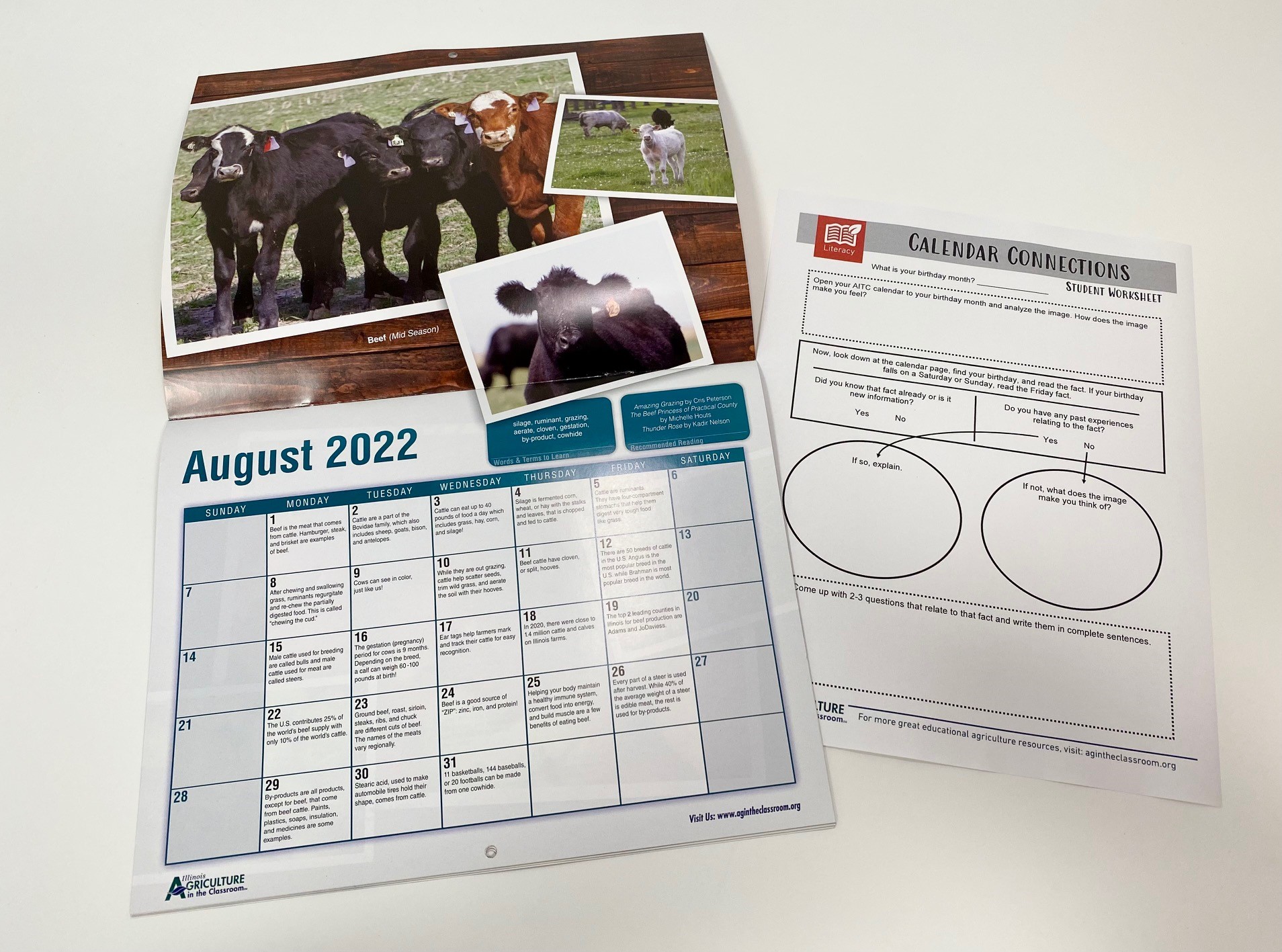 Calendar Connections