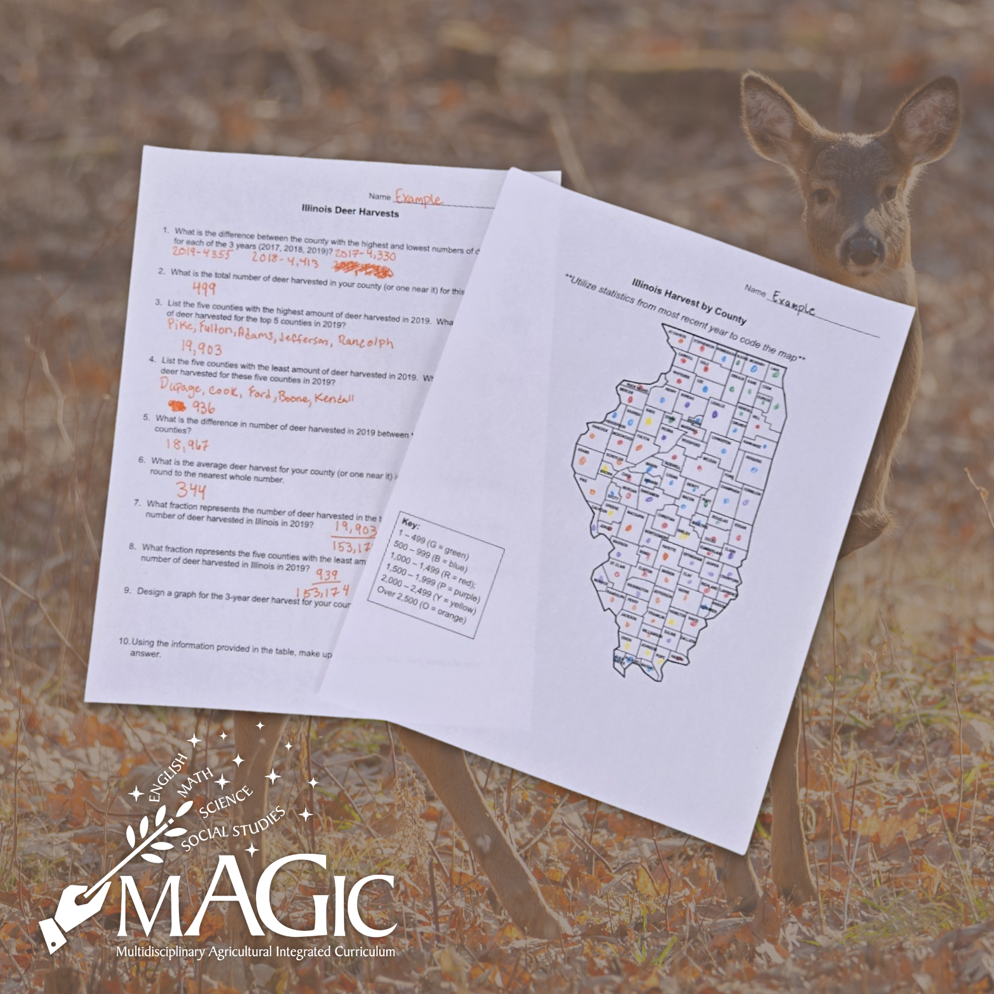 How Many Deer are Here?