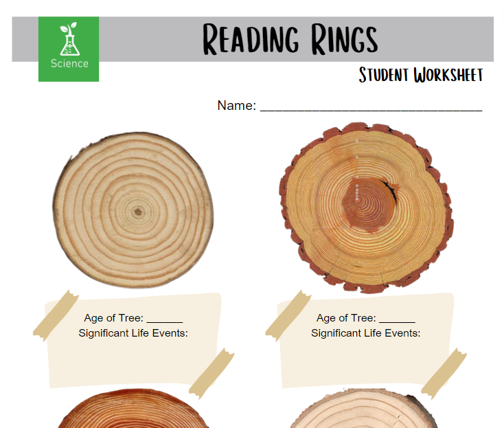 Reading Rings